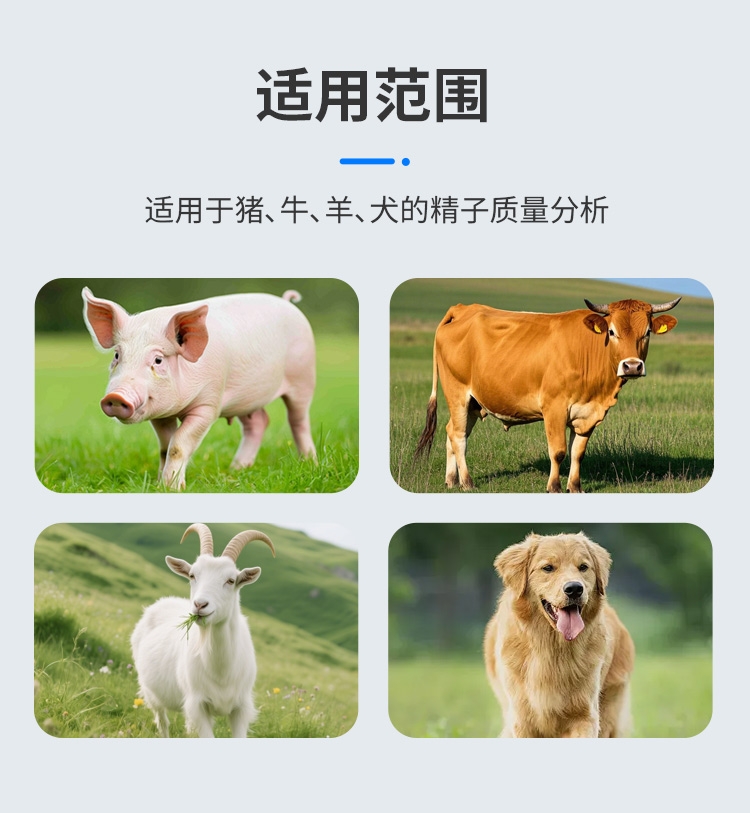 精子质量分析仪详情_03.jpg