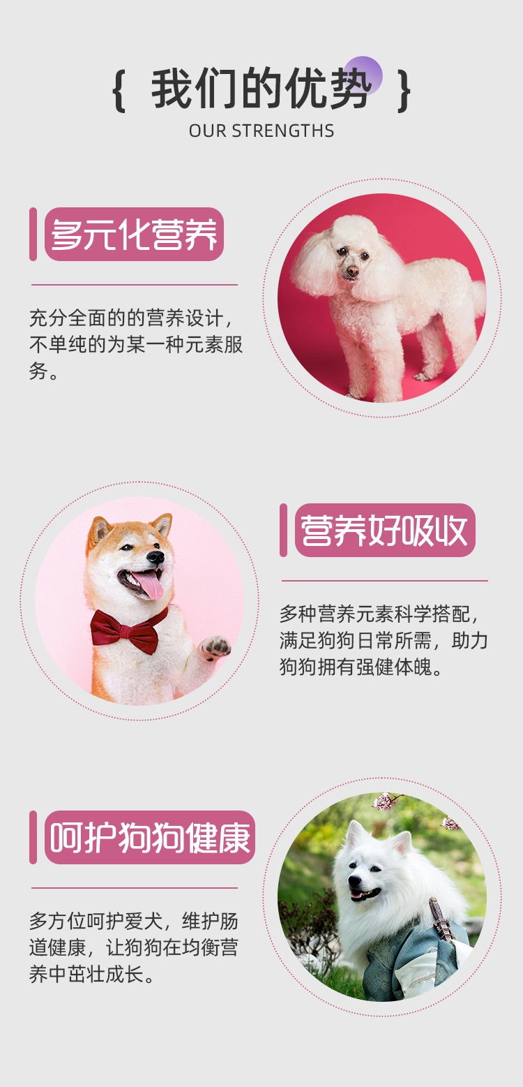 母犬二套详情_02.jpg