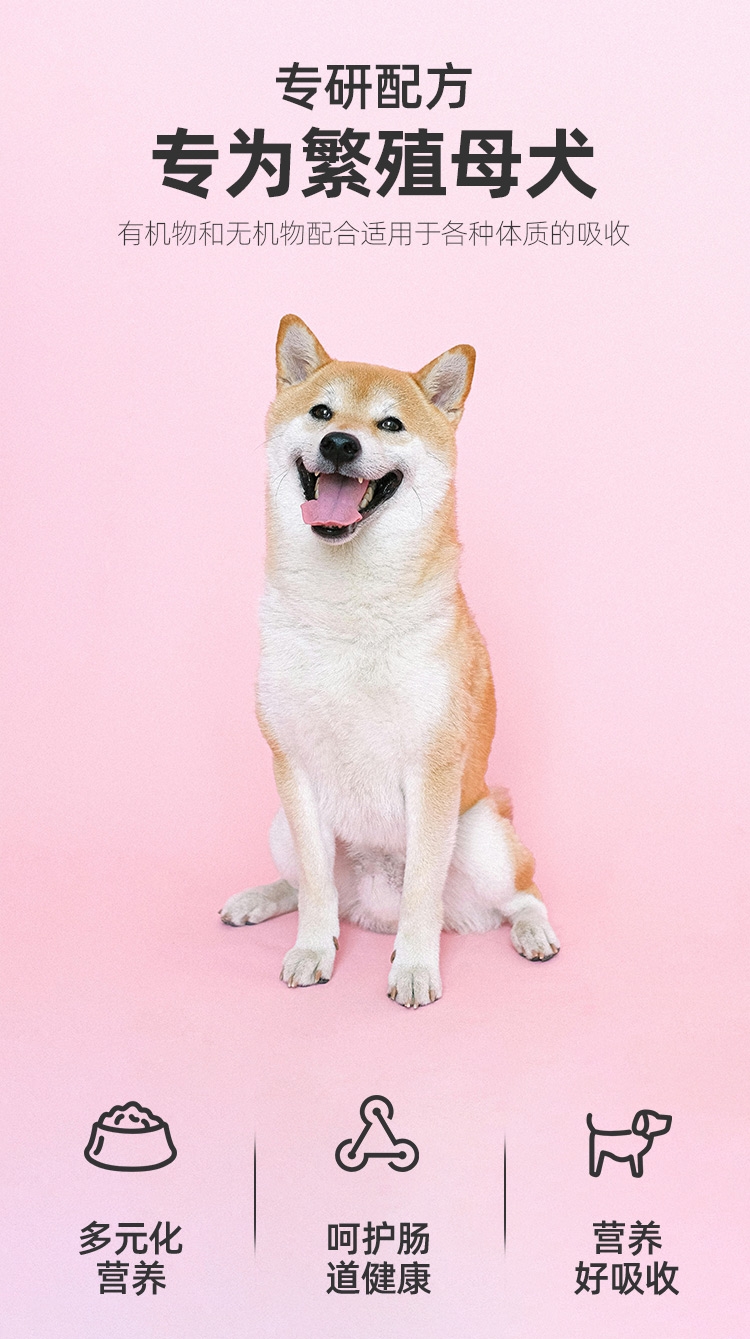 母犬二套详情_04.jpg