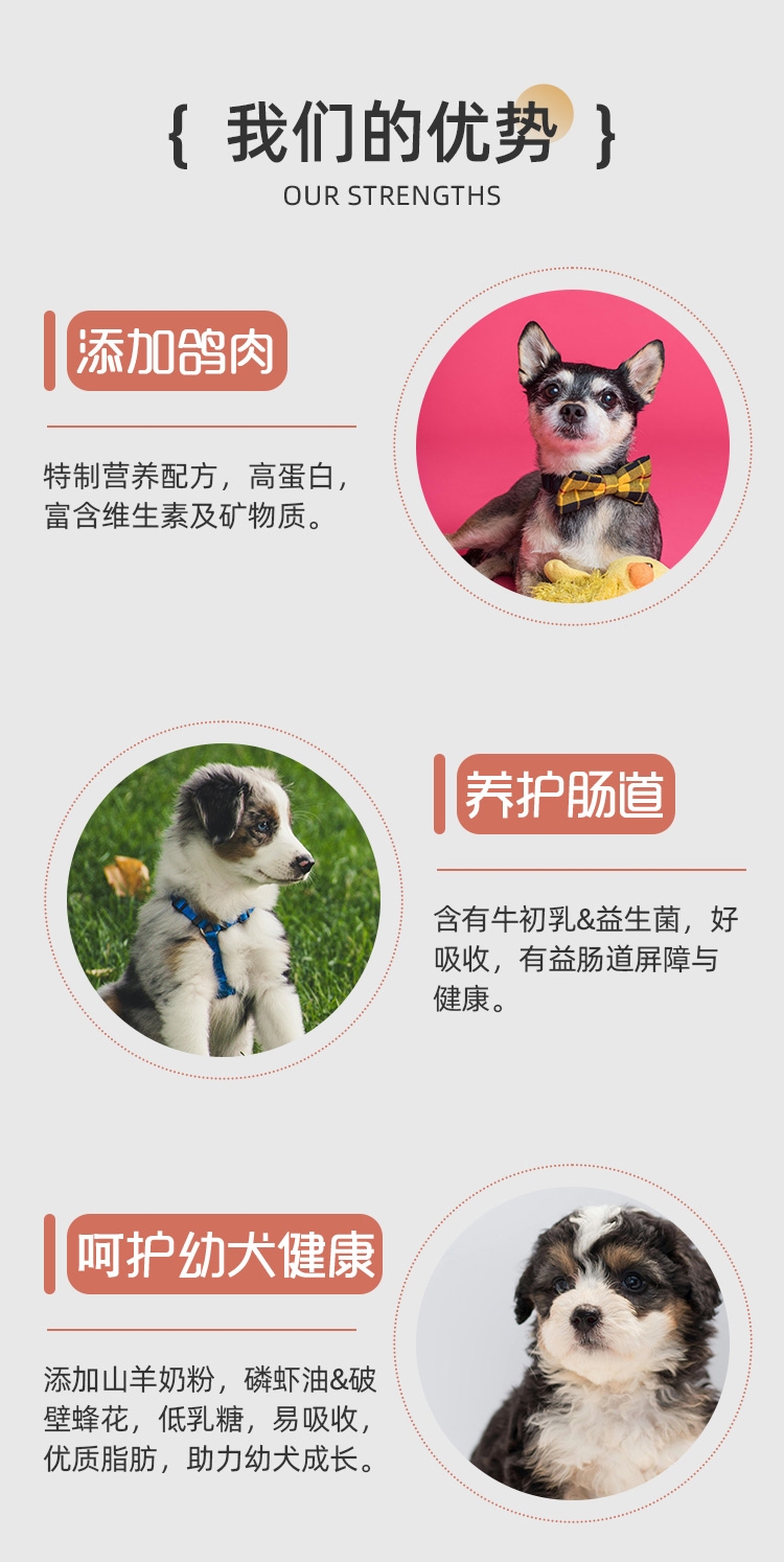 幼犬二套详情_03.jpg