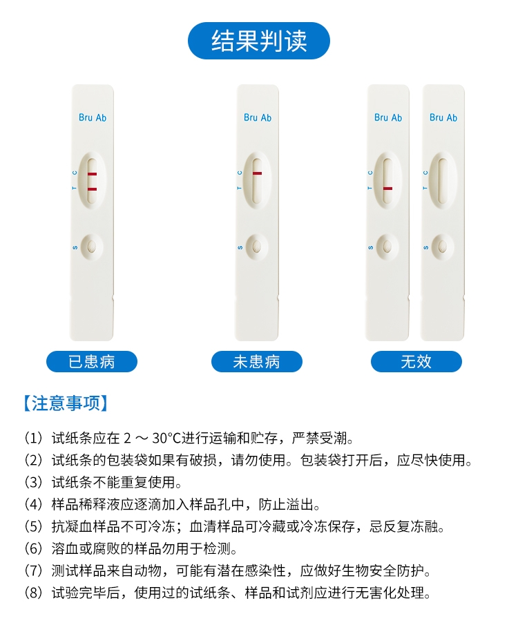 中性布病试纸-通用无采血_06.jpg